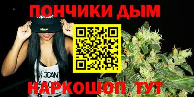 шишки Краснознаменск