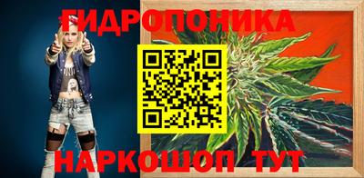 сатива Краснодар