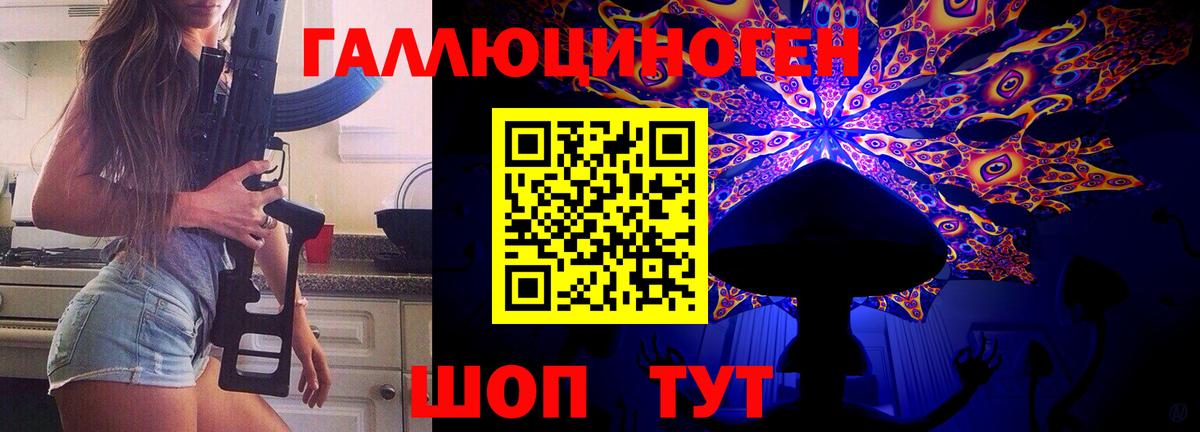 купить наркотики цена  Вход с VPN  Зима  Галлюциногенные грибы Psilocybe 
